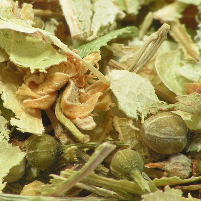 Lindenblüten geschnitten